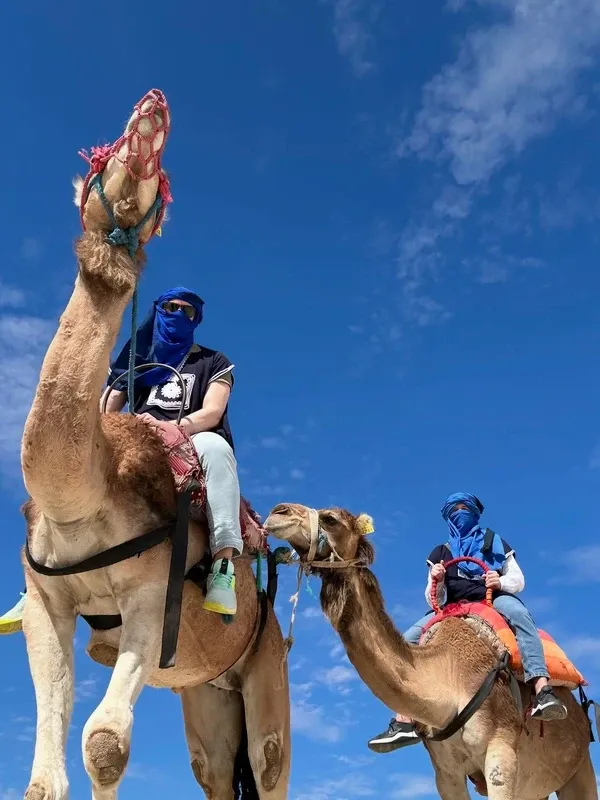 Agafay Desert visitor photo 2